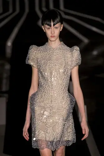 2017法国巴黎时装周超级性感的透视装一