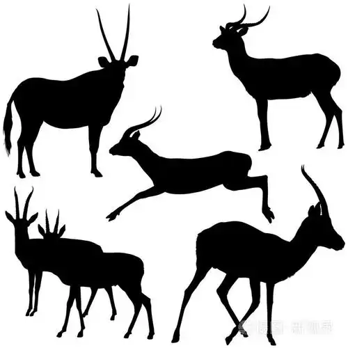 羚羊剪影