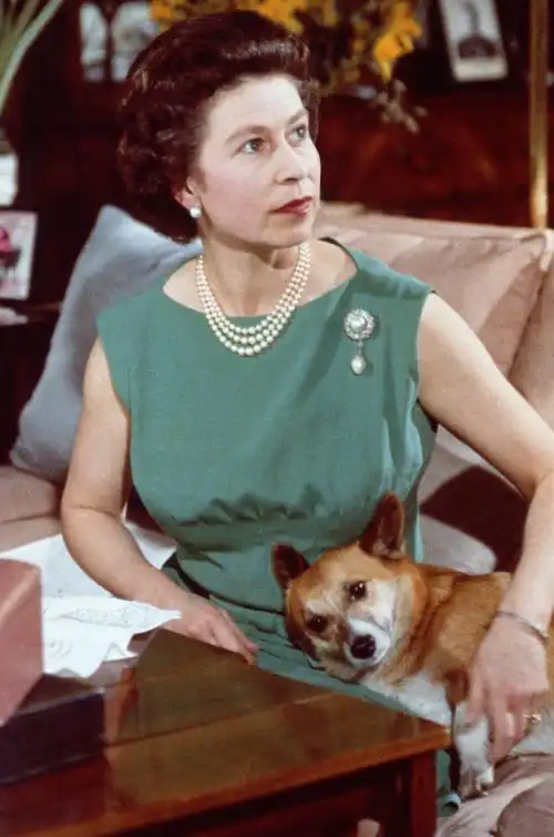 英国女王去世|多图回顾伊丽莎白二世的人生|财圈社