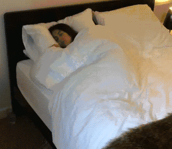 有人喜欢播放安眠曲,有人喜欢抱着东西睡觉,但是殊不知一款合适的睡眠