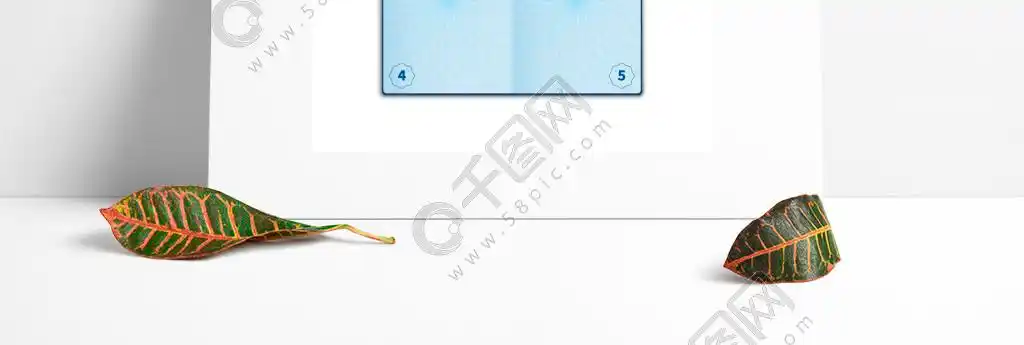 空白护照打开文档版面带水印的页面空的外国护照页身份证矢量详细的