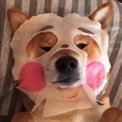 七妎今日沙雕头像集搞怪可爱的微信头像