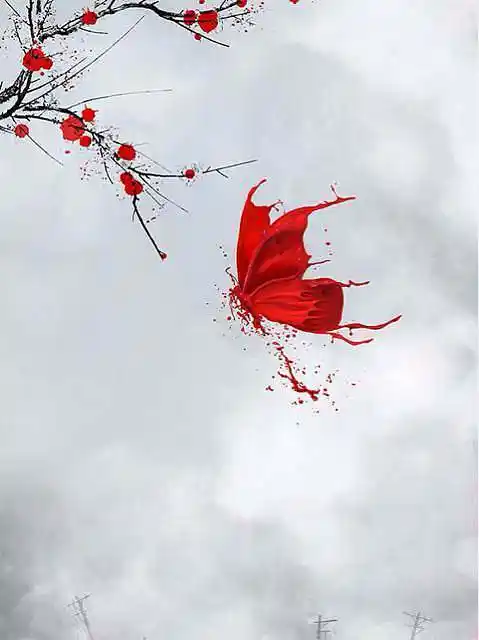 血色的蝴蝶扑过那是我为你留下的血迹