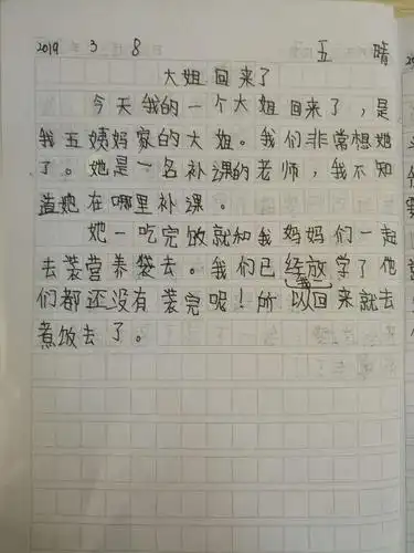 三年级孩子日记这样写:每一天都有一个故事