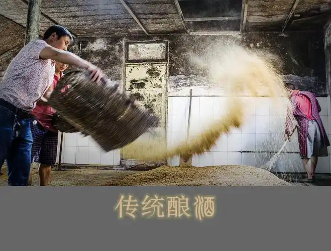 【传统工艺酿酒摄影图片】国内摄影_太平洋电脑网摄影部落
