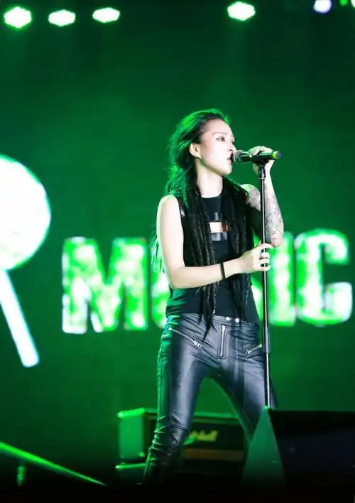 毕夏亮相音乐节摇滚燃爆常州之夜