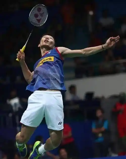 "败者为王"李宗伟:为治癌花936万续命,流泪称:抗癌太痛苦了_训练_羽毛