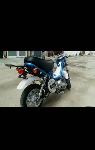 全新金城70摩托车