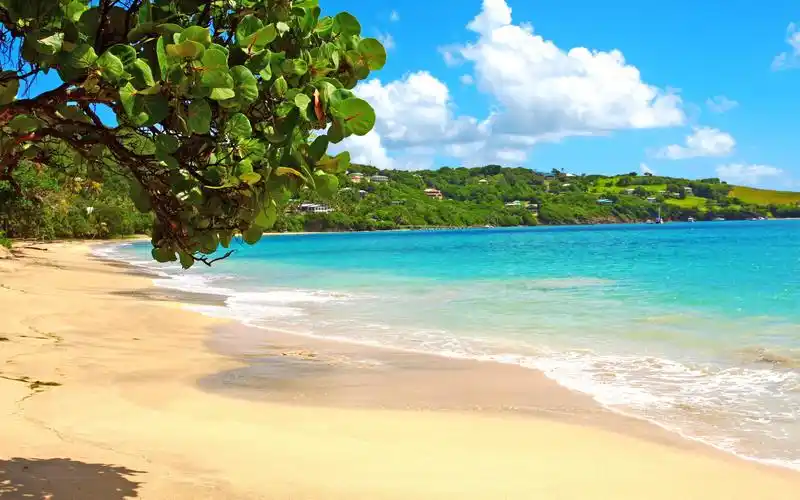 夏日度假好去处:海滩