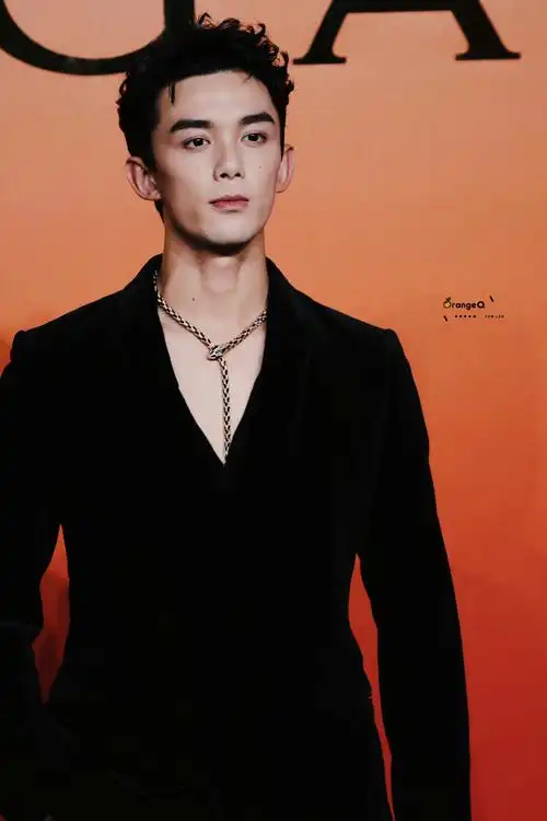 吴磊宝格丽品牌代言人