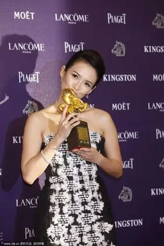 第50届台湾电影金马奖