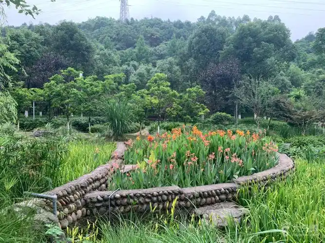 园博园江南园湿地花园