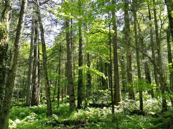 千里相会长白山,此景梦中曾相见