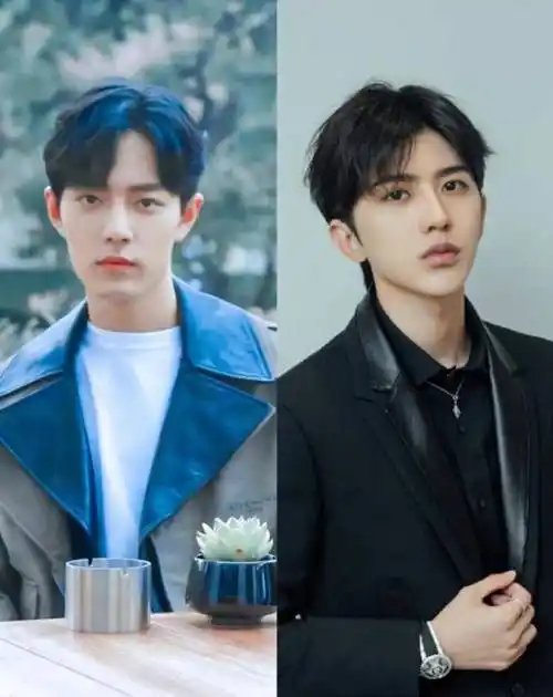 但是这句话近几天在肖战和蔡徐坤的相关新闻里倒是非常常见