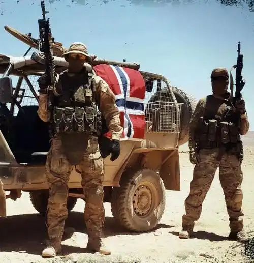 北欧极右翼到叙利亚当雇佣兵却是帮俄国人打仗为了钱还是