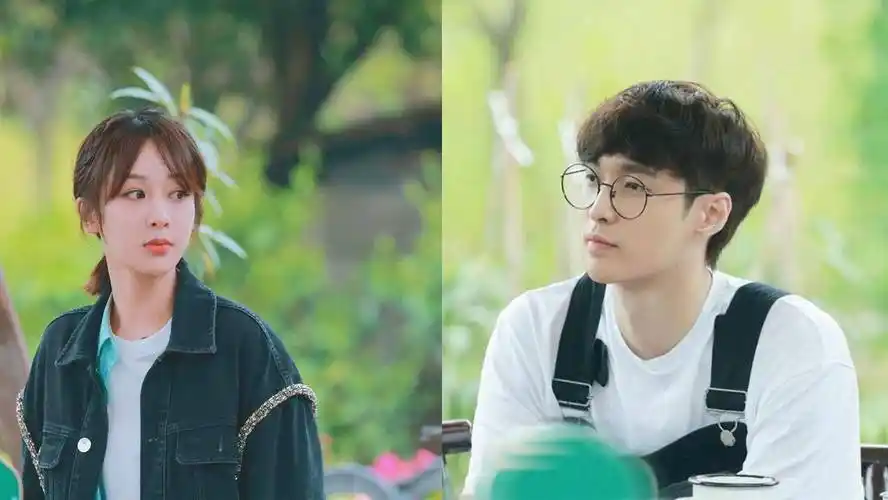 原创张艺兴和杨紫澄清的干干净净为何反被疯狂磕cp