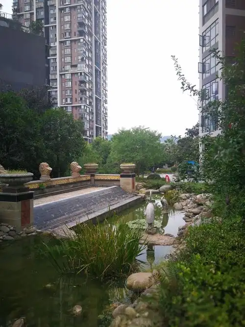 我们小区水景的变化