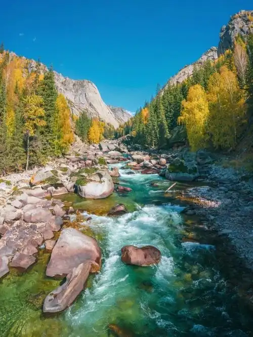 新疆的这个目的地,从李娟笔下美到现实中,是夏季旅行目的地"顶流",一