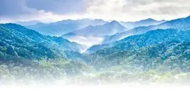 江西省宜春市宜丰县官山国家级自然保护区.刘继刚 周亮摄影报道