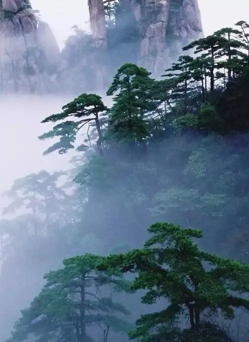 yuting2015007此曲《无云天》里所要表达的意境是如此云淡风轻,悠然