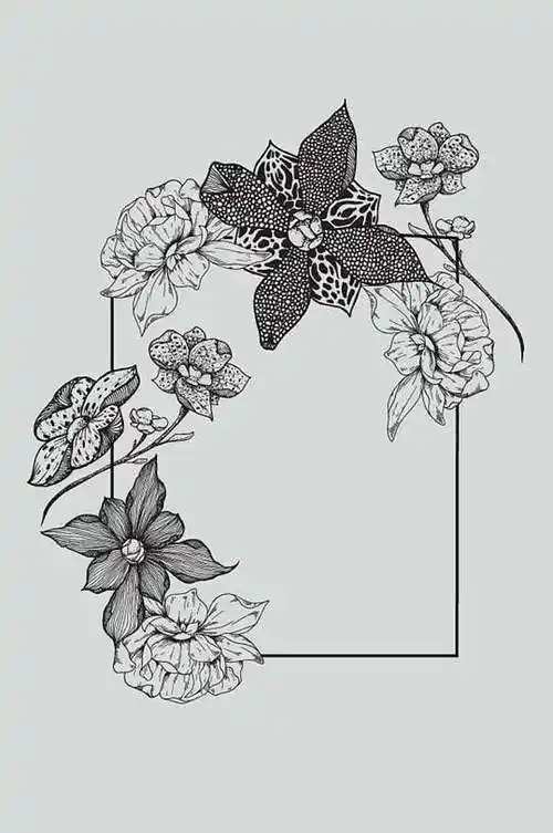 简约线条花卉图片-简约线条花卉素材下载-众图网