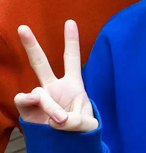 居然不会这个手势