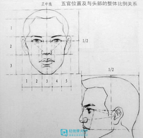 素描中的三庭五眼是指哪个部位
