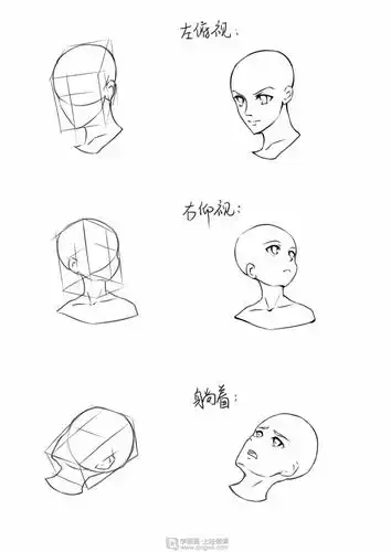 作业:动漫人物头部仰视,俯视的画法训练 - rh-18-059.