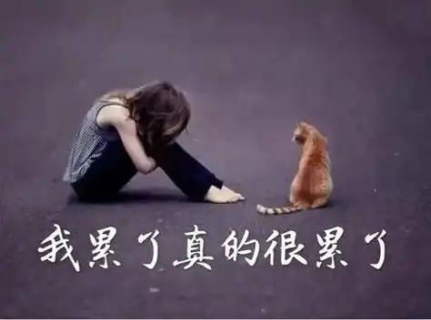 7,怎么痛,再怎么难过,人家也看不到,也不会心疼你,你难过给谁看?