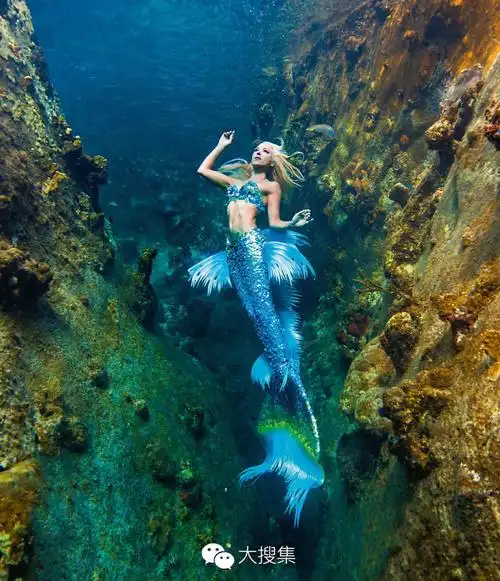 美人真正的美人鱼