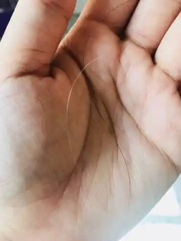 你第一次发现自己有白头发是多少岁,当时是什么心情?