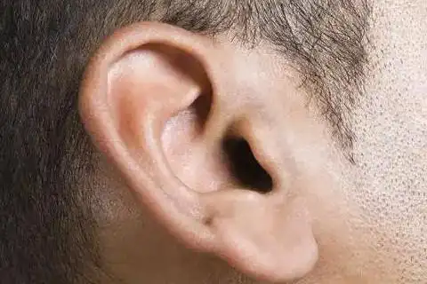 耳朵薄的男人怎么样 耳朵薄的人是不是没有福气