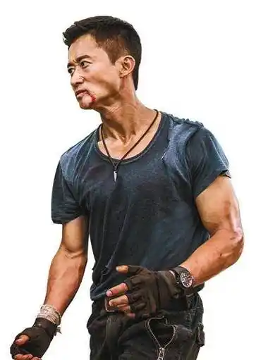 吴京的崛起,对甄子丹有多大的影响呢?_票房_香港_明星