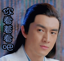 楚乔传林更新宇文玥你看着办吧gif动图_动态图_表情包下载_soogif