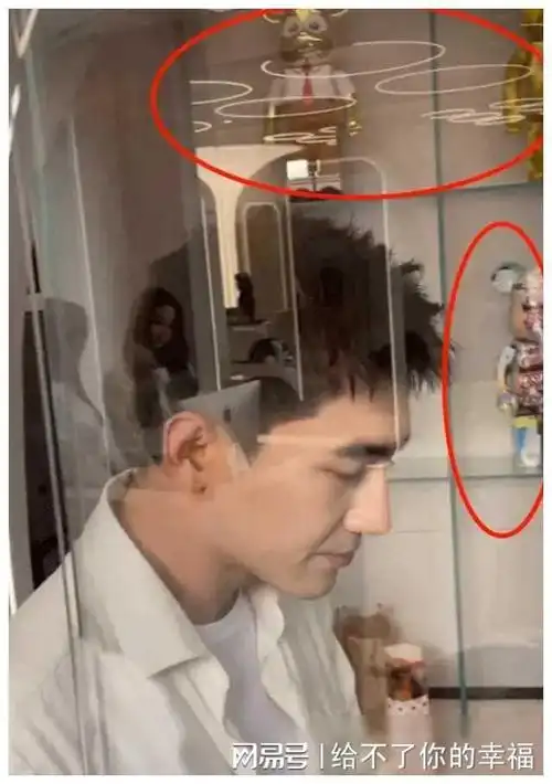 林更新豪宅曝光网友直呼好家伙