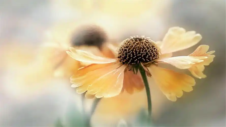 清新唯美自然风光高清桌面壁纸-风景壁纸 - 壁纸之家