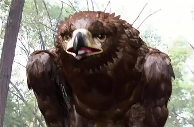 《神雕侠侣》神雕来自何方,是何种生物,为何会这么厉害