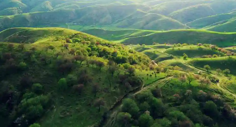 杏花这边独好霍城县大西沟福寿山