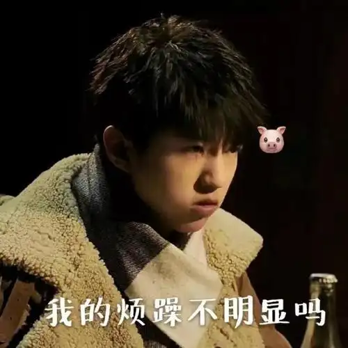 王俊凯,1999年9月21日生于中国重庆,中国内地男歌手,演员,tfboys队长.