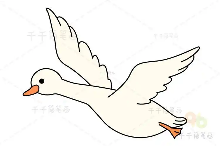 简单白天鹅简笔画步骤