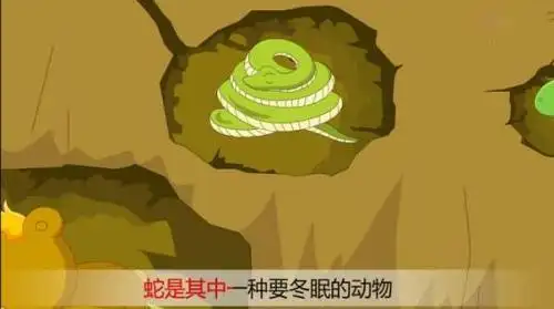 闽南民间故事蛇为啥冬眠