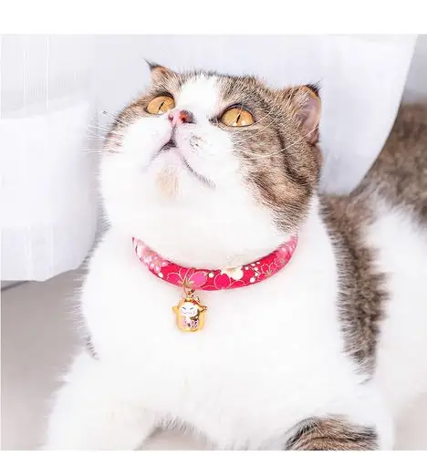 派乐特猫项圈猫铃铛猫咪泰迪小狗狗项圈铃铛圈脖圈藏青小花s