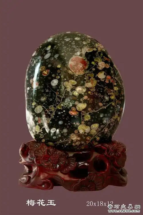 玩者5v的相册-汝阳梅花玉