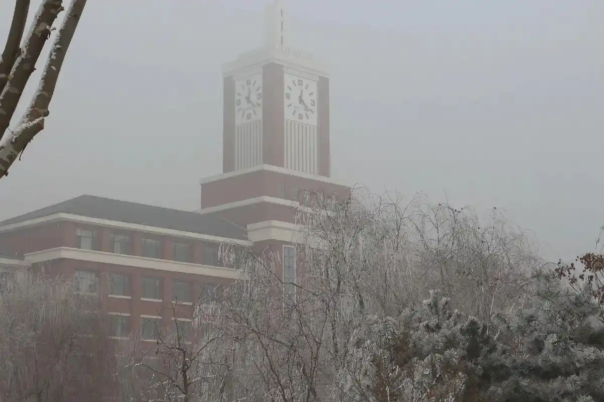 欢迎报考十五中#欢迎报考 #我为我的学校打call #石家庄