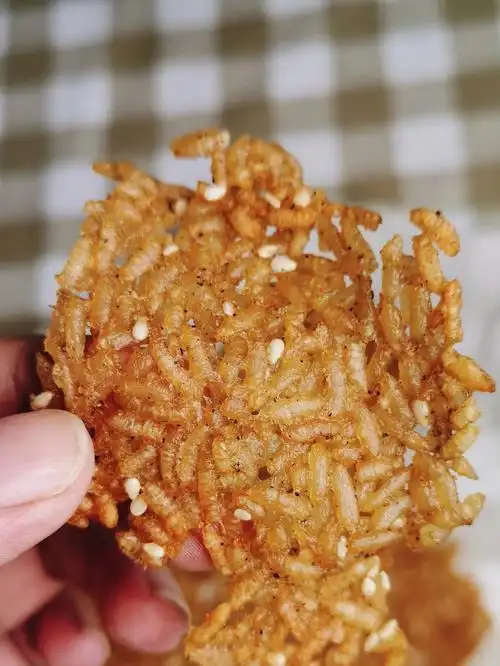 空气炸锅566066种做法第五弹锅巴