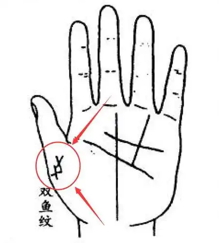 有这些手纹的人学业优异功名可成年少得志前程似锦