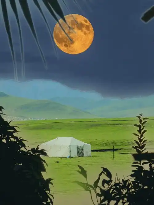 草原之夜大红月亮高高挂