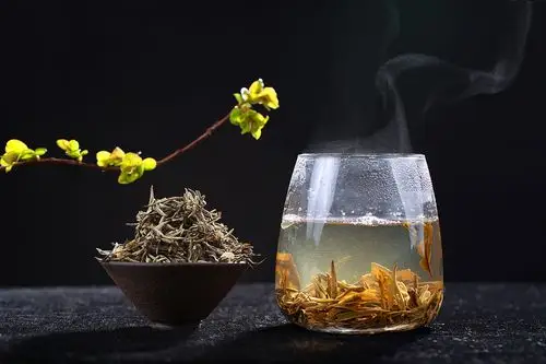 夏初,我在遍布茶香老家,等你一饮