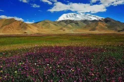 微信头像阳光高山_第5页