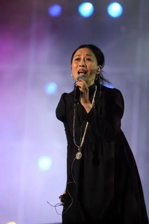 那英终于洗脱冤屈?大鹏被扒称刀郎歌曲听众为农民,令人震惊!